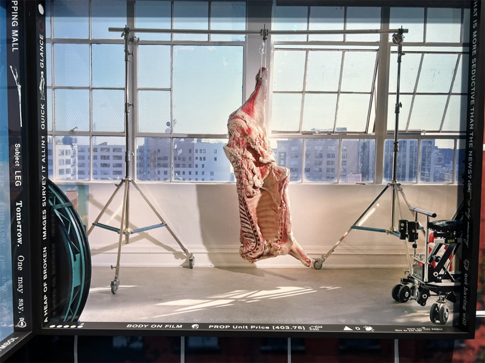 Sara Cwynar, BODY ON FILM, unknown date